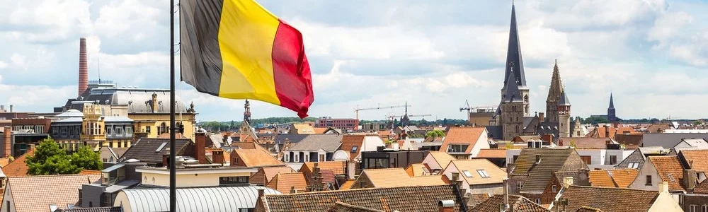 Belgian flag with a view of belgium in the background