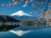 Online casinos: end of the grey zone in Japan