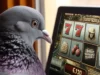 Crazy gambling facts you didn’t know – Here they are!