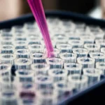 Gambling club science research ozempic